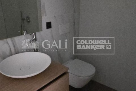 Lägenhet för uthyrning i Principado De Andorra (Ninguna Poblacion Tiene C.P.), Lleida, Spanien 2 sovrum, 116 kvm. Nr. 160456 - foto 11