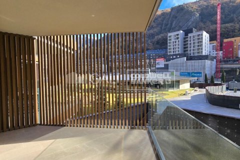 Lägenhet för uthyrning i Principado De Andorra (Ninguna Poblacion Tiene C.P.), Lleida, Spanien 2 sovrum, 116 kvm. Nr. 160456 - foto 15