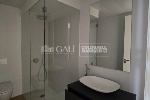 Lägenhet för uthyrning i Principado De Andorra (Ninguna Poblacion Tiene C.P.), Lleida, Spanien 2 sovrum, 116 kvm. Nr. 160456 - foto 9