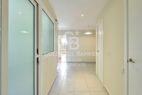 Apartment for rent in Barcelona, Spain 5 bedrooms, 250 sq.m. No. 160454 - photo 17