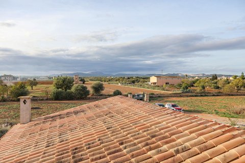 Villa en venta en Campos, Mallorca, España 8 dormitorios, 500 m2 No. 147950 - foto 10