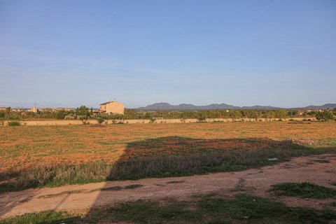 Villa en venta en Campos, Mallorca, España 8 dormitorios, 500 m2 No. 147950 - foto 22