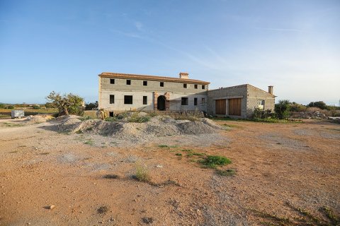 Villa en venta en Campos, Mallorca, España 8 dormitorios, 500 m2 No. 147950 - foto 3