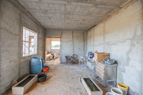 Villa en venta en Campos, Mallorca, España 8 dormitorios, 500 m2 No. 147950 - foto 26