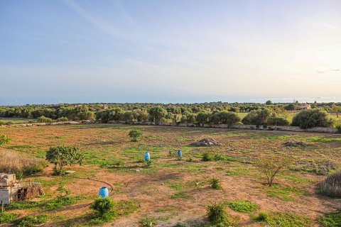 Villa en venta en Campos, Mallorca, España 8 dormitorios, 500 m2 No. 147950 - foto 11