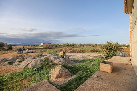 Villa en venta en Campos, Mallorca, España 8 dormitorios, 500 m2 No. 147950 - foto 21