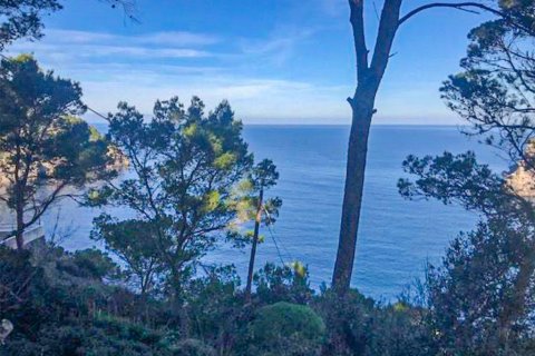 Land plot for sale in Soller, Mallorca, Spain No. 147949 - photo 8