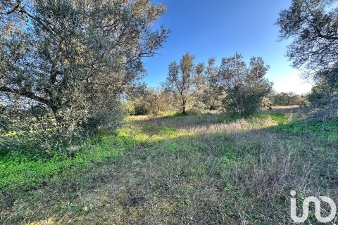 Продажа земельного участка в Вильябланка, Уэльва, Испания 44740м2 №186022 - фото 15