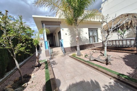 Dzīvoklis pārdošanā Benijofar, Alicante, Spānijā 1 istaba, 100 m2 Nr. 109477 - attēls 12