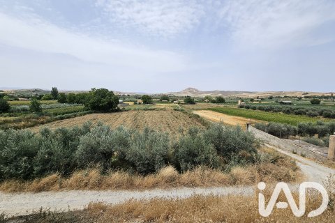 Terreno in vendita a Alhendin, Granada, Spagna 1453 mq. N° 187705 - foto 9
