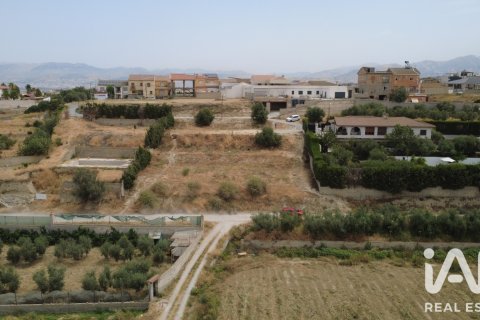 Terreno in vendita a Alhendin, Granada, Spagna 1453 mq. N° 187705 - foto 3