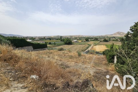 Terreno in vendita a Alhendin, Granada, Spagna 1453 mq. N° 187705 - foto 8