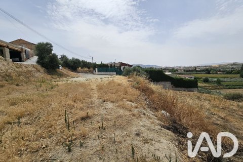 Terreno in vendita a Alhendin, Granada, Spagna 1453 mq. N° 187705 - foto 7