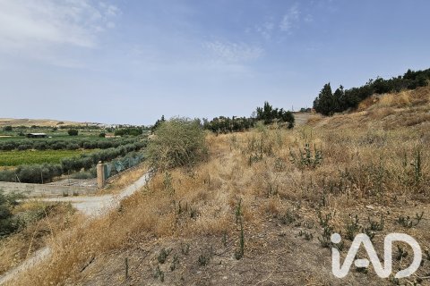 Terreno in vendita a Alhendin, Granada, Spagna 1453 mq. N° 187705 - foto 10