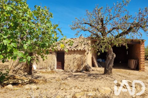 Tomt i Tivissa, Tarragona, Spanien 38972 kvm. Nr. 194337