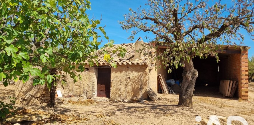 Tomt i Tivissa, Tarragona, Spanien 38972 kvm. Nr. 194337