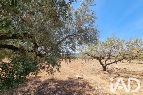 Tomt till salu i Tivissa, Tarragona, Spanien 38972 kvm. Nr. 194337 - foto 9