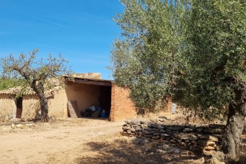 Tomt till salu i Tivissa, Tarragona, Spanien 38972 kvm. Nr. 194337 - foto 18