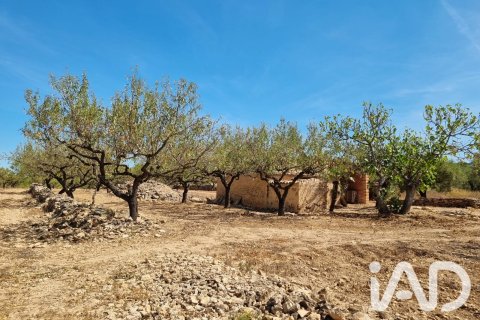 Tomt till salu i Tivissa, Tarragona, Spanien 38972 kvm. Nr. 194337 - foto 6