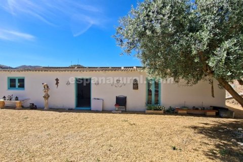Talo myytävänä Arboleas, Almeria, Espanja, 5 makuuhuonetta, 315 m2 No. 167264 - kuva 20