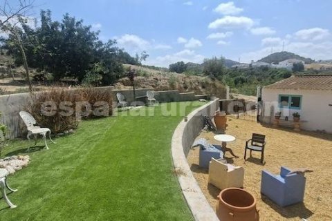 Talo myytävänä Arboleas, Almeria, Espanja, 5 makuuhuonetta, 315 m2 No. 167264 - kuva 24