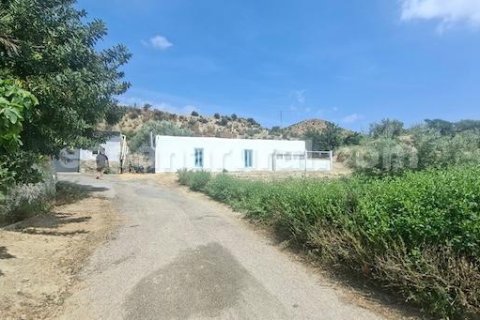 House zum Verkauf in Arboleas, Almeria, Spanien 5 Schlafzimmer, 315 m2 Nr. 167264 - Foto 22