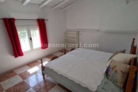 Talo myytävänä Arboleas, Almeria, Espanja, 5 makuuhuonetta, 315 m2 No. 167264 - kuva 9
