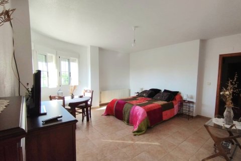 Huvila myytävänä Torrevieja, Alicante, Espanja, 6 makuuhuonetta, 338 m2 No. 137913 - kuva 14