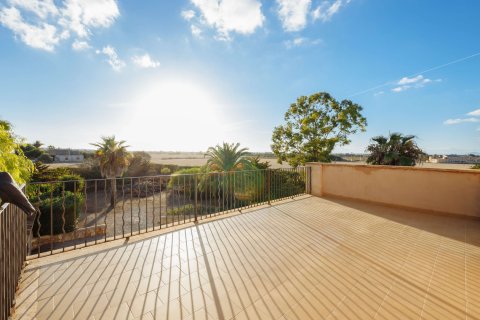 Finca pārdošanā Campos, Mallorca, Spānijā 5 istabas, 265 m2 Nr. 137529 - attēls 19