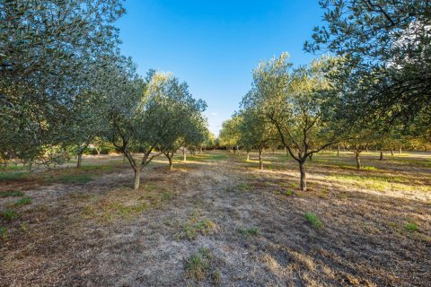 Finca pārdošanā Campos, Mallorca, Spānijā 5 istabas, 265 m2 Nr. 137529 - attēls 25