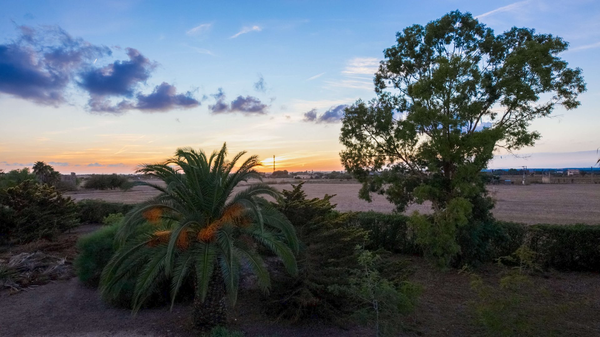 Finca in Campos, Mallorca, Spanien 5 Schlafzimmer, 265 m2 Nr. 137529