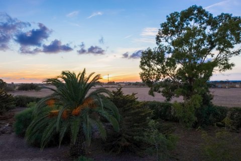 Finca pārdošanā Campos, Mallorca, Spānijā 5 istabas, 265 m2 Nr. 137529 - attēls 18