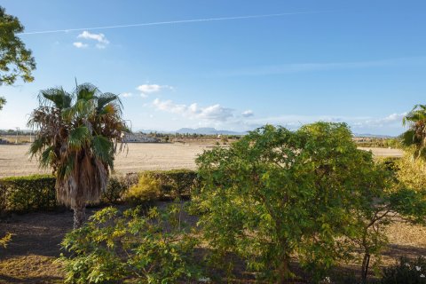 Finca pārdošanā Campos, Mallorca, Spānijā 5 istabas, 265 m2 Nr. 137529 - attēls 20