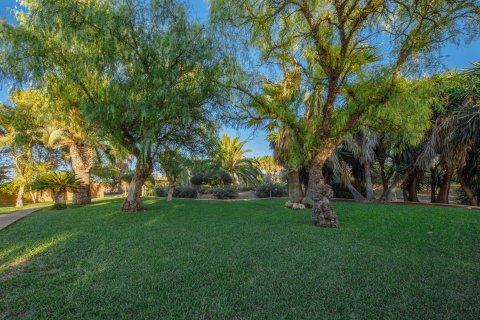 Finca pārdošanā Campos, Mallorca, Spānijā 5 istabas, 265 m2 Nr. 137529 - attēls 7