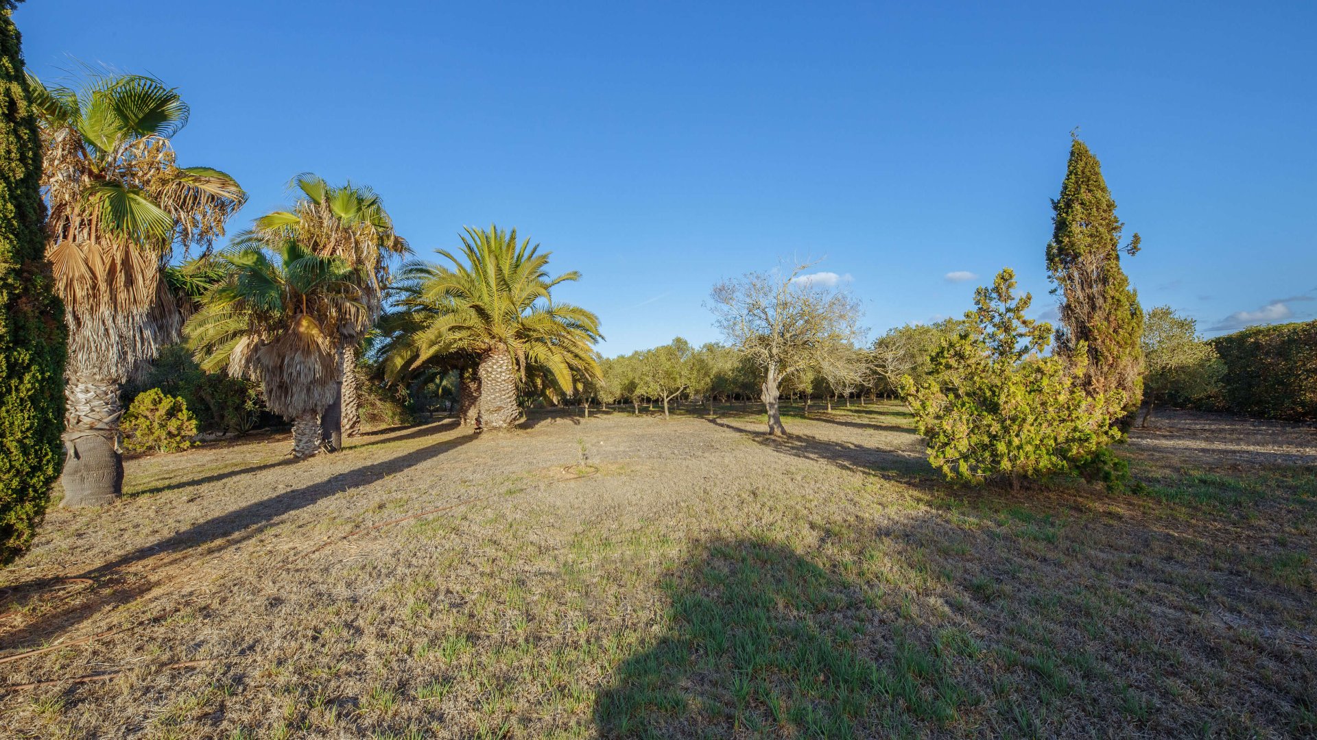 Finca in Campos, Mallorca, Spanien 5 Schlafzimmer, 265 m2 Nr. 137529
