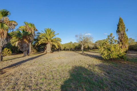 Finca pārdošanā Campos, Mallorca, Spānijā 5 istabas, 265 m2 Nr. 137529 - attēls 27