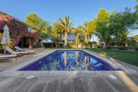 Finca pārdošanā Campos, Mallorca, Spānijā 5 istabas, 265 m2 Nr. 137529 - attēls 5