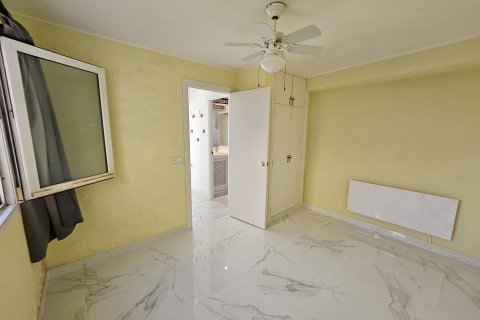 Dzīvoklis īrēšanai Santa Ponsa, Mallorca, Spānijā 1 istaba, 53 m2 Nr. 137525 - attēls 11