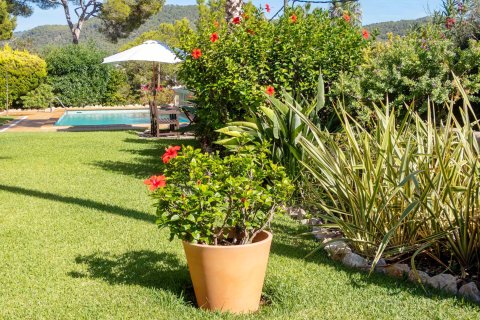 Villa in vendita Port D'andratx, Mallorca, Spagna 3 camere da letto, 234 mq. N° 137527 - foto 18