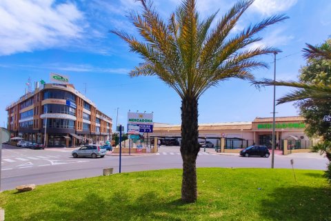 Kamienica w Playa Flamenca II, Alicante, Hiszpania 3 sypialnie, 80 mkw. nr 146125 – zdjęcie 25