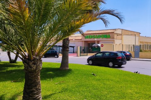 Kamienica w Playa Flamenca II, Alicante, Hiszpania 3 sypialnie, 80 mkw. nr 146125 – zdjęcie 26