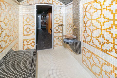 Продажа виллы в Ла Мата, Аликанте, Испания 370м2 №165982 - фото 27