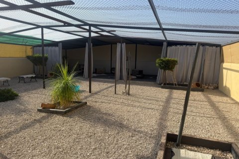 Finka w Elche, Alicante, Hiszpania 1 sypialnia, 120 mkw. nr 147352 – zdjęcie 6