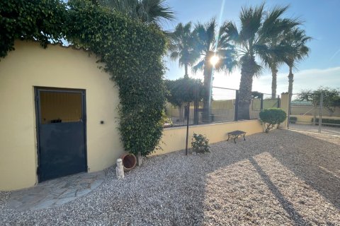 Finka w Elche, Alicante, Hiszpania 1 sypialnia, 120 mkw. nr 147352 – zdjęcie 16