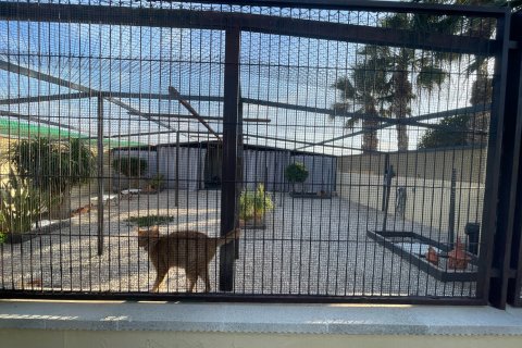 Finka w Elche, Alicante, Hiszpania 1 sypialnia, 120 mkw. nr 147352 – zdjęcie 9