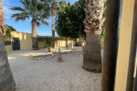 Finka w Elche, Alicante, Hiszpania 1 sypialnia, 120 mkw. nr 147352 – zdjęcie 8