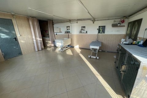 Finka w Elche, Alicante, Hiszpania 1 sypialnia, 120 mkw. nr 147352 – zdjęcie 18