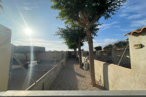 Finka w Elche, Alicante, Hiszpania 1 sypialnia, 120 mkw. nr 147352 – zdjęcie 21