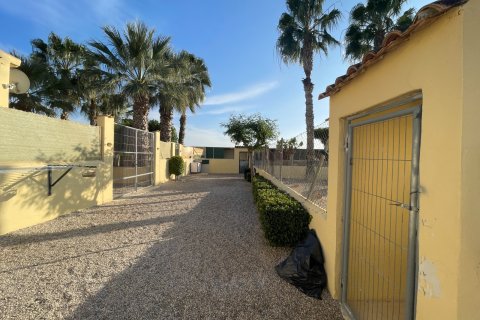 Finka w Elche, Alicante, Hiszpania 1 sypialnia, 120 mkw. nr 147352 – zdjęcie 24