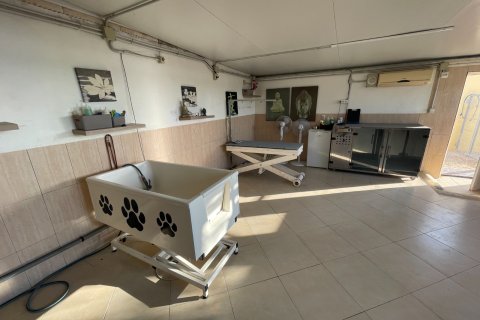 Finka w Elche, Alicante, Hiszpania 1 sypialnia, 120 mkw. nr 147352 – zdjęcie 20